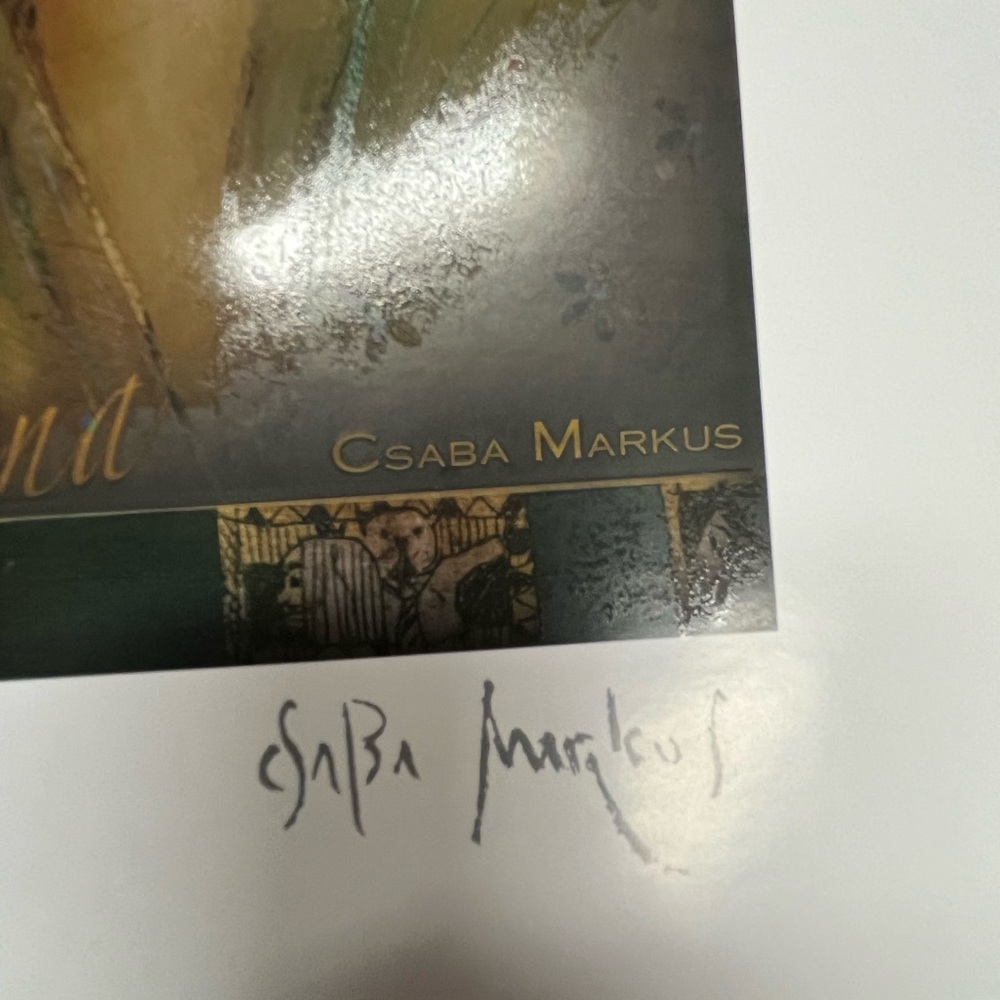 Park West Csaba Markus Kapricianna 2021 10x9 lithograph - Picture 2 of 7